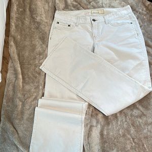 Ann Taylor Loft, Slim boot